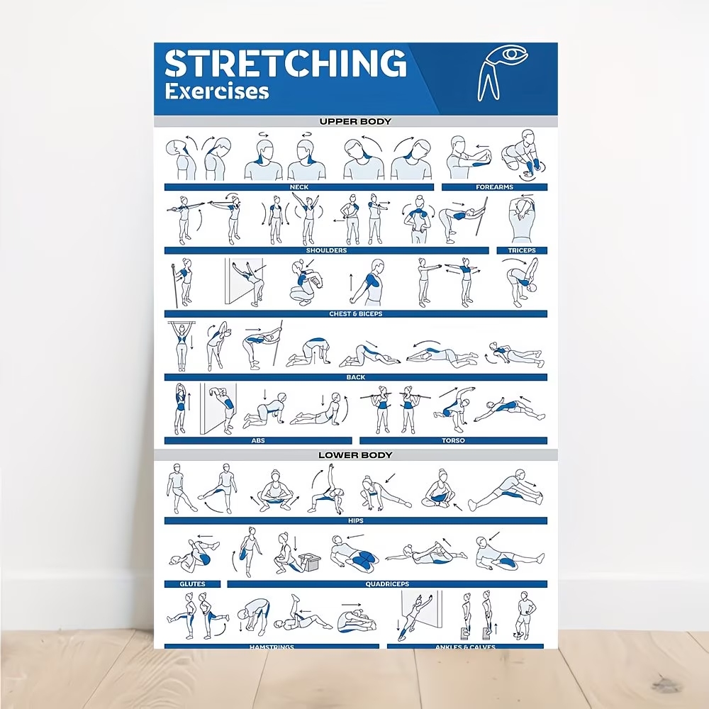 モダンなラベル付き全身ストレッチ体図 ジム用ウォールアートプ - Sports Equipment Poster のレビューと価格