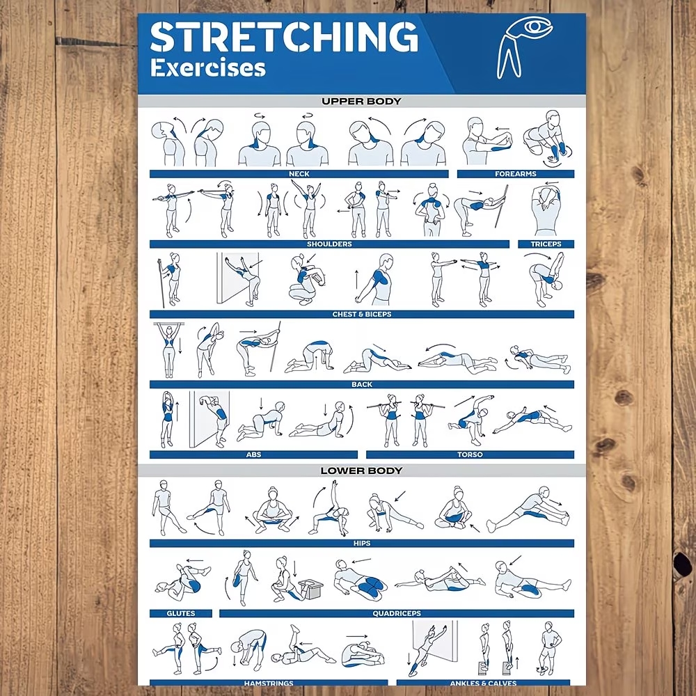 モダンなラベル付き全身ストレッチ体図 ジム用ウォールアートプ - Sports Equipment Poster のレビューと価格