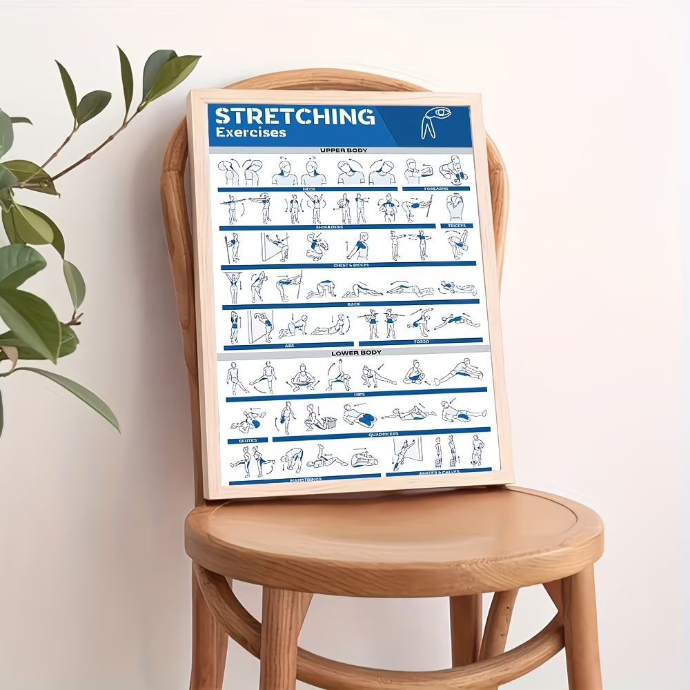 モダンなラベル付き全身ストレッチ体図 ジム用ウォールアートプ - Sports Equipment Poster のレビューと価格